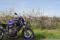 MT-07 Photo